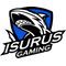 Isurus