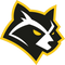 Procyon Gaming